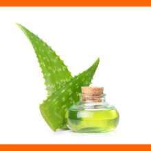 Aloe