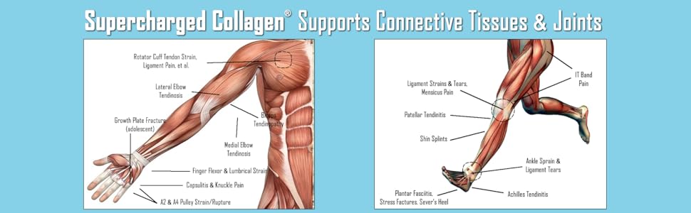 collagen for athletes, collagen for injuries, collagen for rehab, collagen for sports