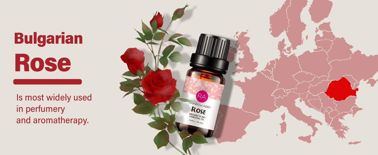 Rose oil origin source