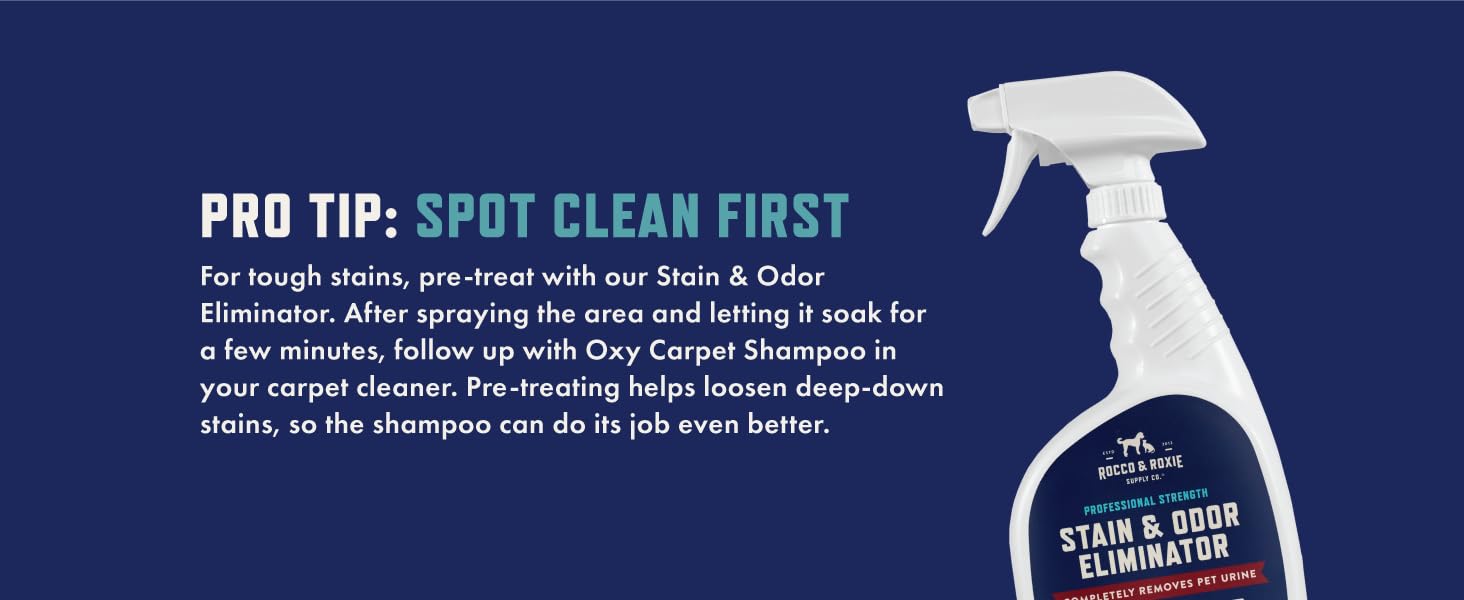 Pro Tip: Spot Clean First with Stain & Odor Eliminator