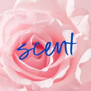 Tree Hut Moroccan Rose Lotion Scent