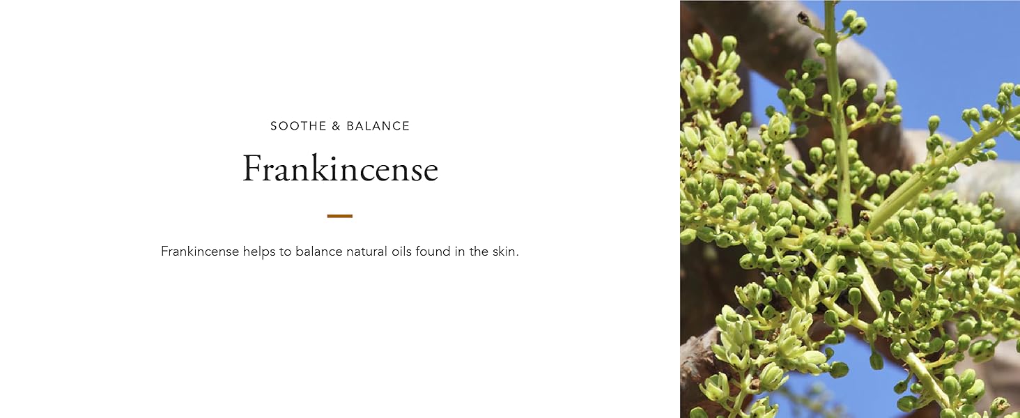 Frankincense 