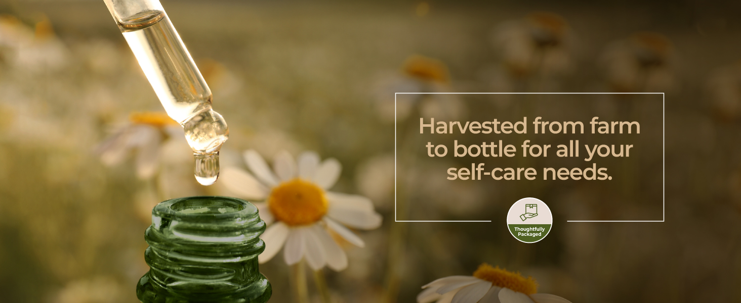 chamomile essential oil organic chamomile spray chamomile oil for face chamomile oil for skin