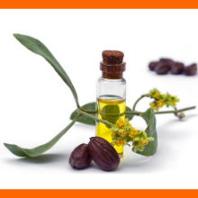 JOJOBA