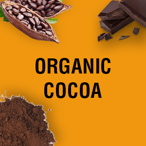 organic cocoa natural healthy great tasting chocolate fudge keto friendly 