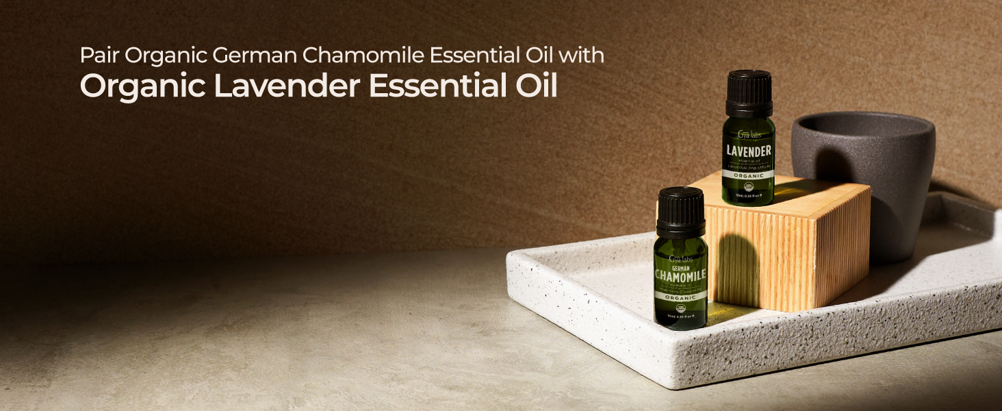 chamomile essential oil chamomile oil german chamomile essential oil german chamomile