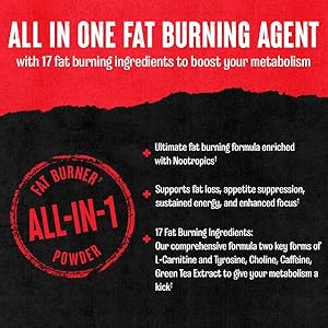 all in one fat burning agent