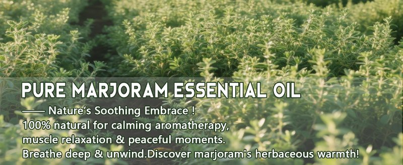 Marjoram Essential Oil