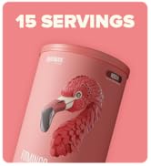 BIRDMAN Fitmingo Plant Based Protein Powder Vanilla, with Inositol, Zinc, Vitamin C and Hyaluroni...