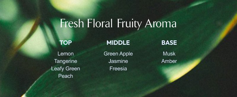 Delicate Scent; Fresh Floral Fruity Aroma; leafy green, jasmine, musk, amber