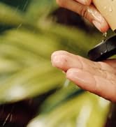 natural face wash