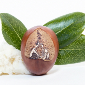 Shea Butter