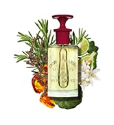 Caswell-Massey Number Six Eau de Parfum