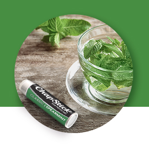 mint spearmint flavored lip balm