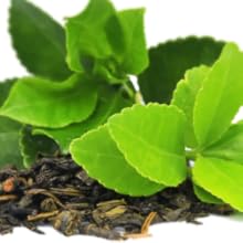 green tea leaves leaf