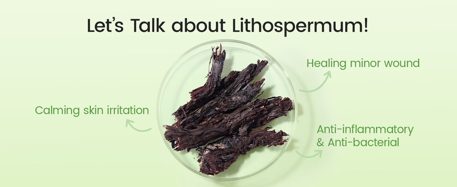 Lithospermum