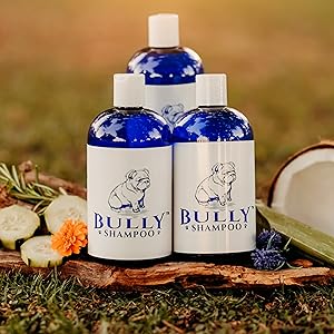 Bully Shampoo