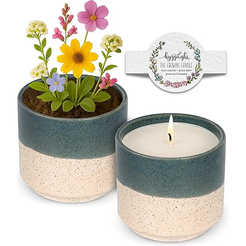 The Growing Candle, Lilac Scented Aromatherapy Candles, 8.5oz Pot, 100% Soy, Willow