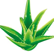 aloe vera ggel extract 