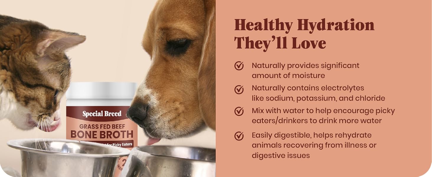 packets puppy honest liquid pets freeze eaters gold milk mix broths pumpkin best powdered mushroom