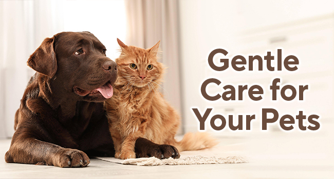 Gentle Care For your Pets