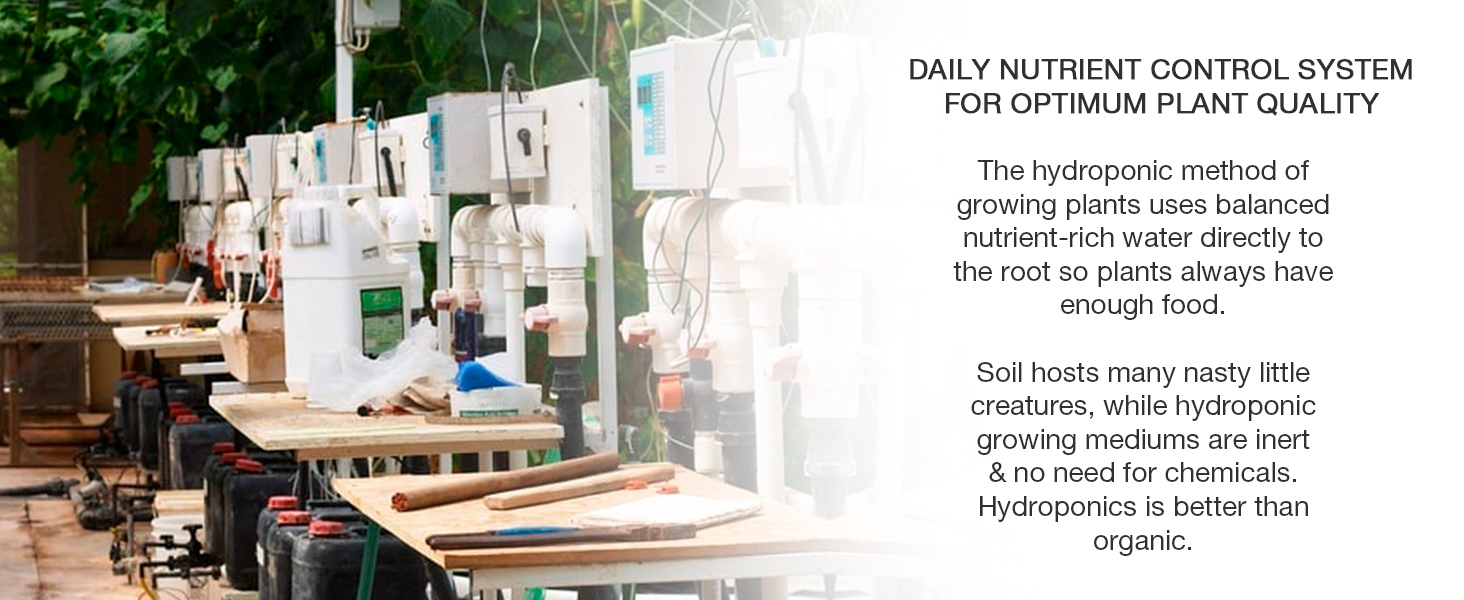 hydroponic method