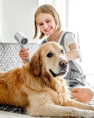 dog