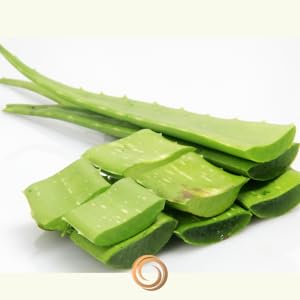 Aloe Vera, Arnica Montana, Shea Butter, Boswellia, Calendula Officinalis, Menthol, Glycerin, MSM