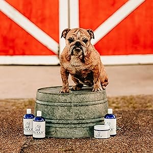 Bully Shampoo