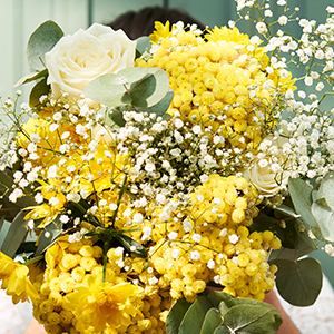 immortelle