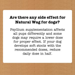 fiber for dogs