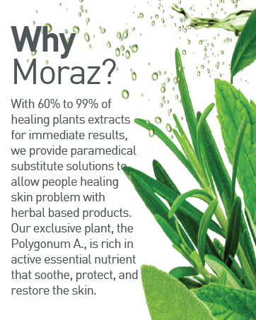 Plant and herbal based paramedical substitute solutions for healing skin