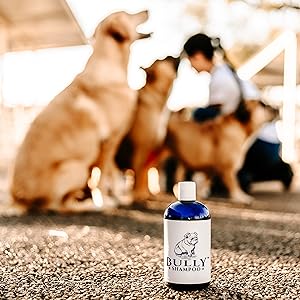 Bully Shampoo
