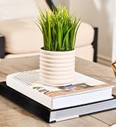 freshner difusers perfume vaporizer dispenser calm self relaxing mint therapy waterless aromas fresh