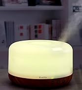 1000ml