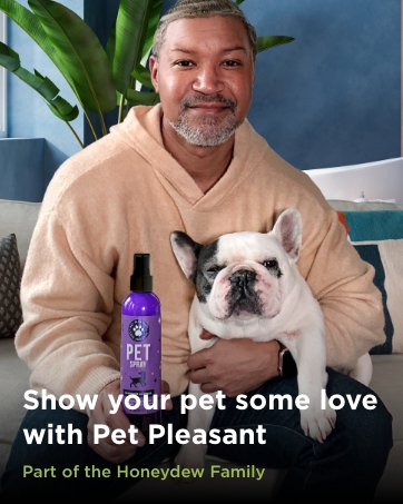 Natural dog shampoo