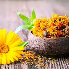 Calendula Flower Extract