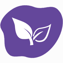 SKIN-NATURAL INGREDIENTS