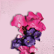 Crisp, Fresh Scent