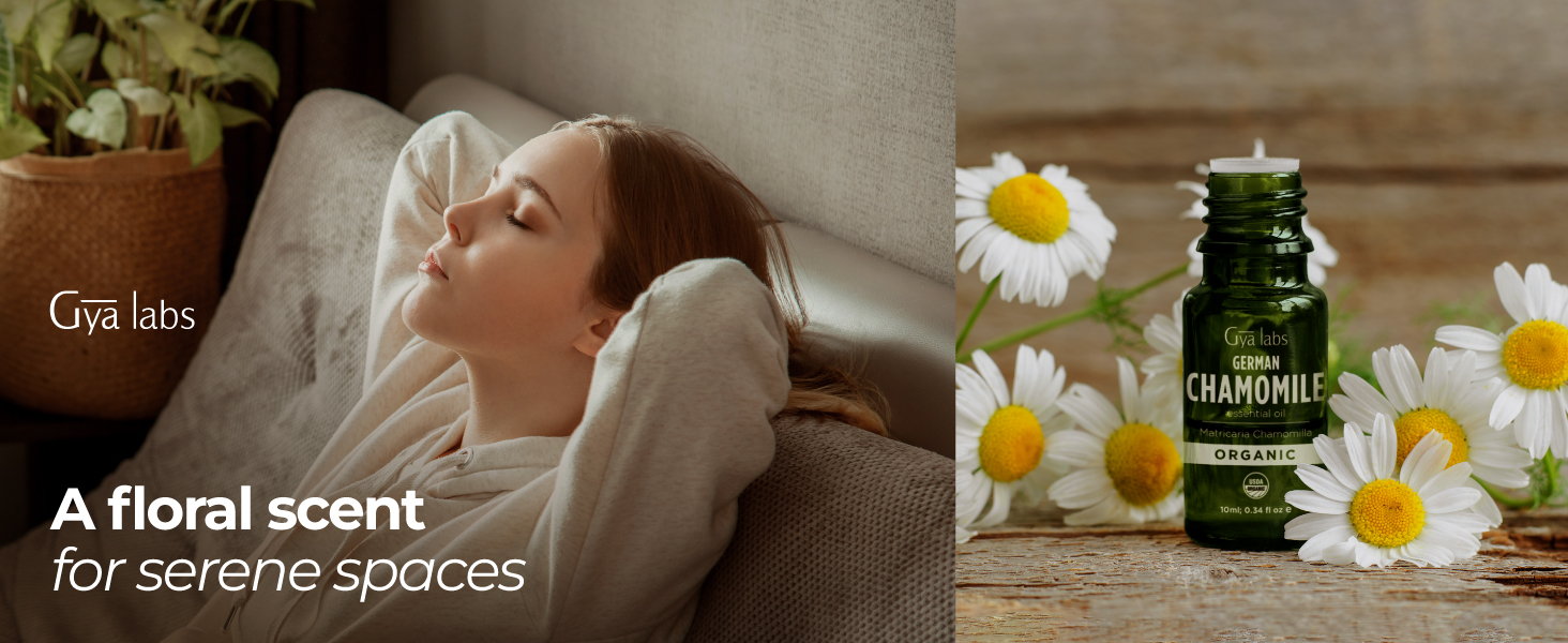 german chamomile essential oil for diffuser organic german chamomile essential oil