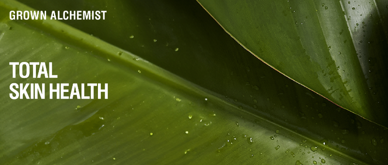 the biology of beautiful skin