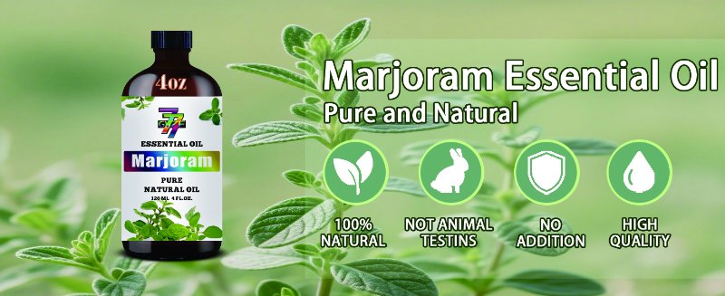 Marjoram Essential Oil