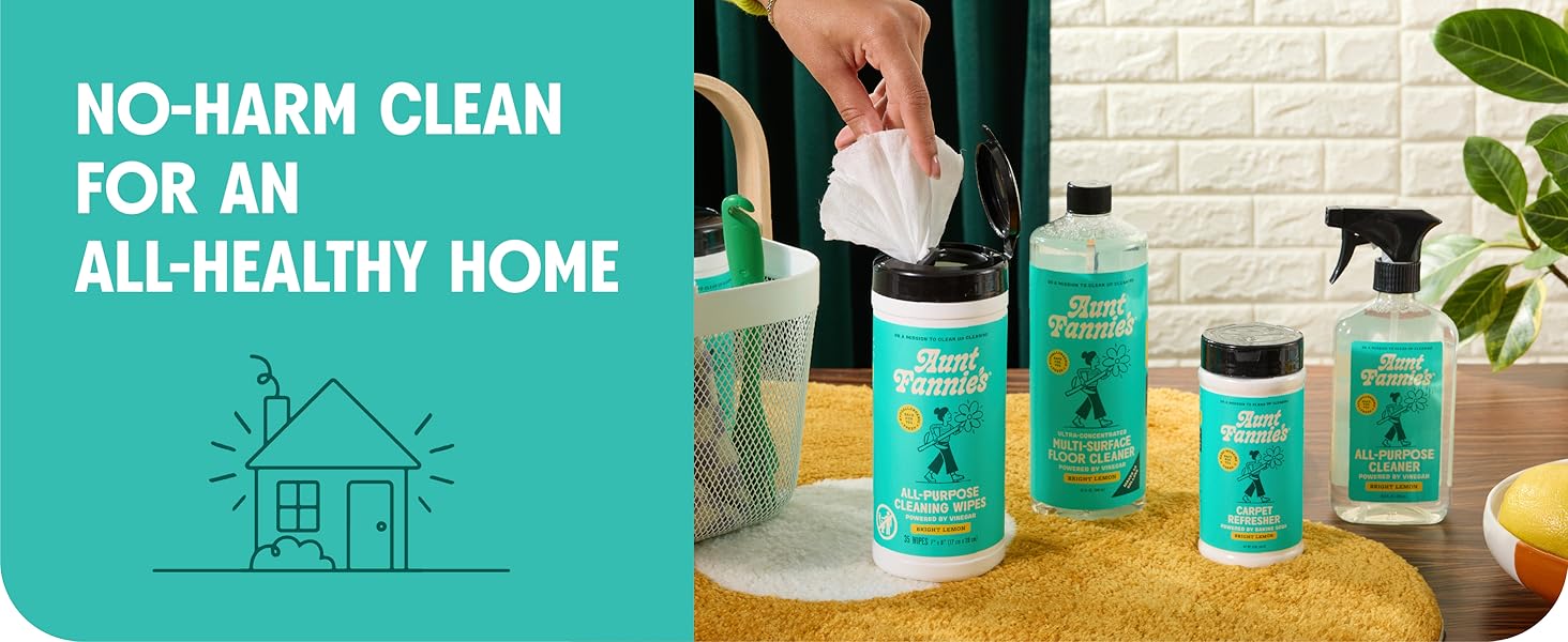 couch cleaner run cleaner urine odor eliminator carpet freshener powderr 
