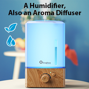 Humidifier