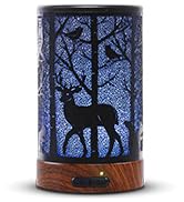 essential oil diffuser