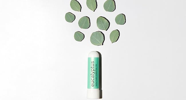 nasal inhaler stick eucalyptus essential oil nasal spray essential oil nasal irrigation system