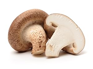 Mushrooms