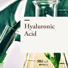 Hyaluronic Acid