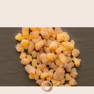 Boswellia, Aloe Vera, Calendula Officinalis, Arnica Montana, Shea Butter, Menthol, Glycerin, MSM