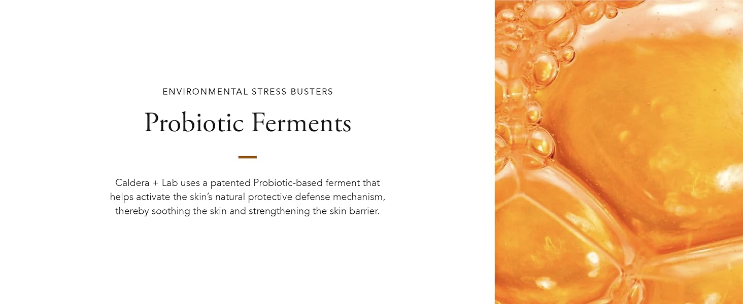 Probiotic ferments 